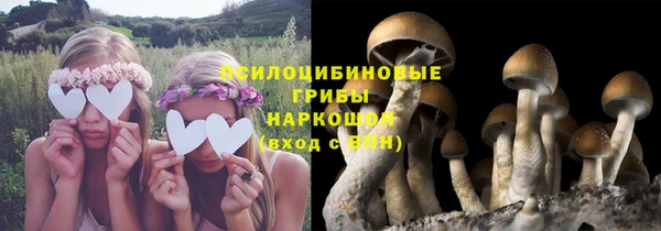 MESCALINE Каменск-Шахтинский