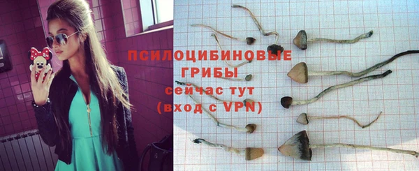 mdpv Каменка