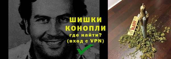 mdpv Каменка